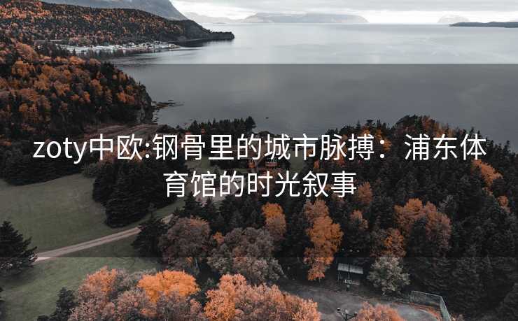 zoty中欧:钢骨里的城市脉搏：浦东体育馆的时光叙事