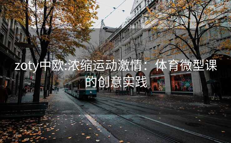 zoty中欧:浓缩运动激情：体育微型课的创意实践